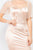 Lace Sleeves Back Zipped Mini Dress